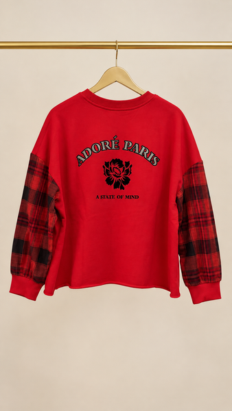 Sudadera Scott EMILY